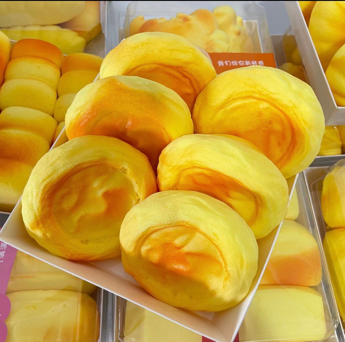 Bread Squishies