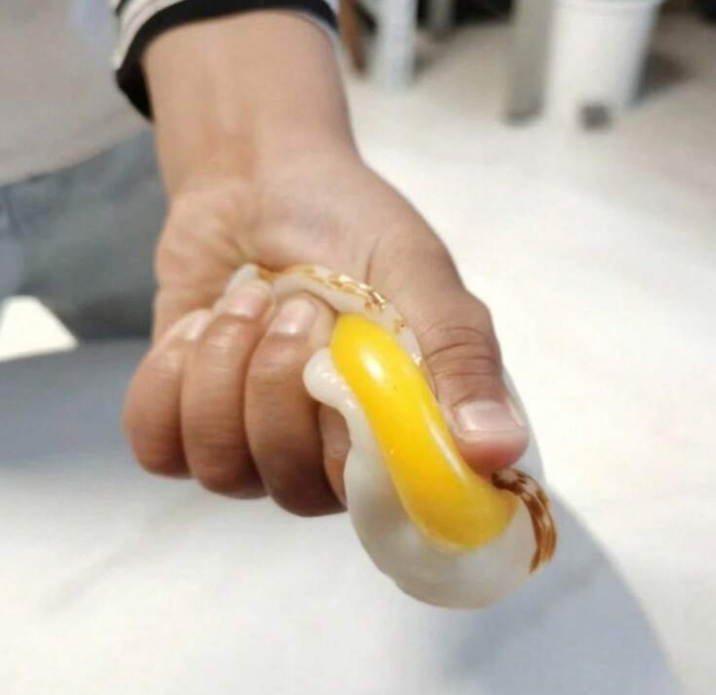 Fried egg squishy