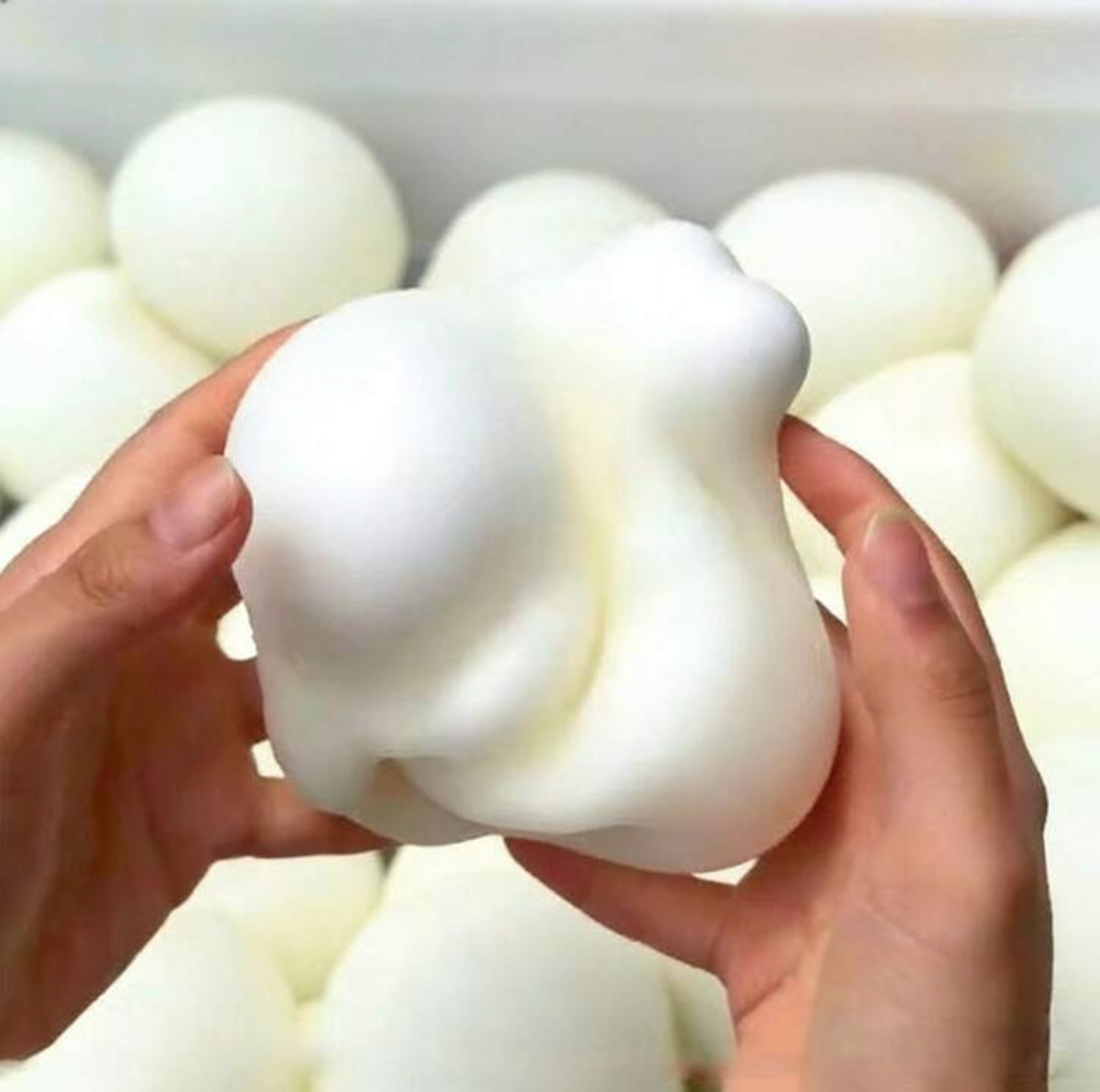 Japanese dumplings squishy