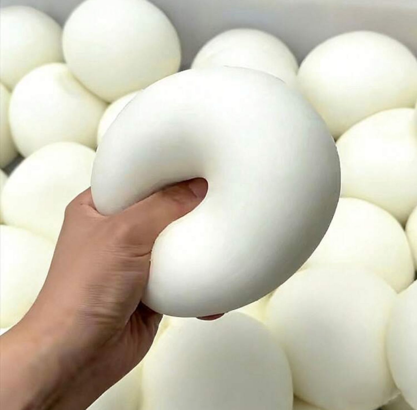Japanese dumplings squishy