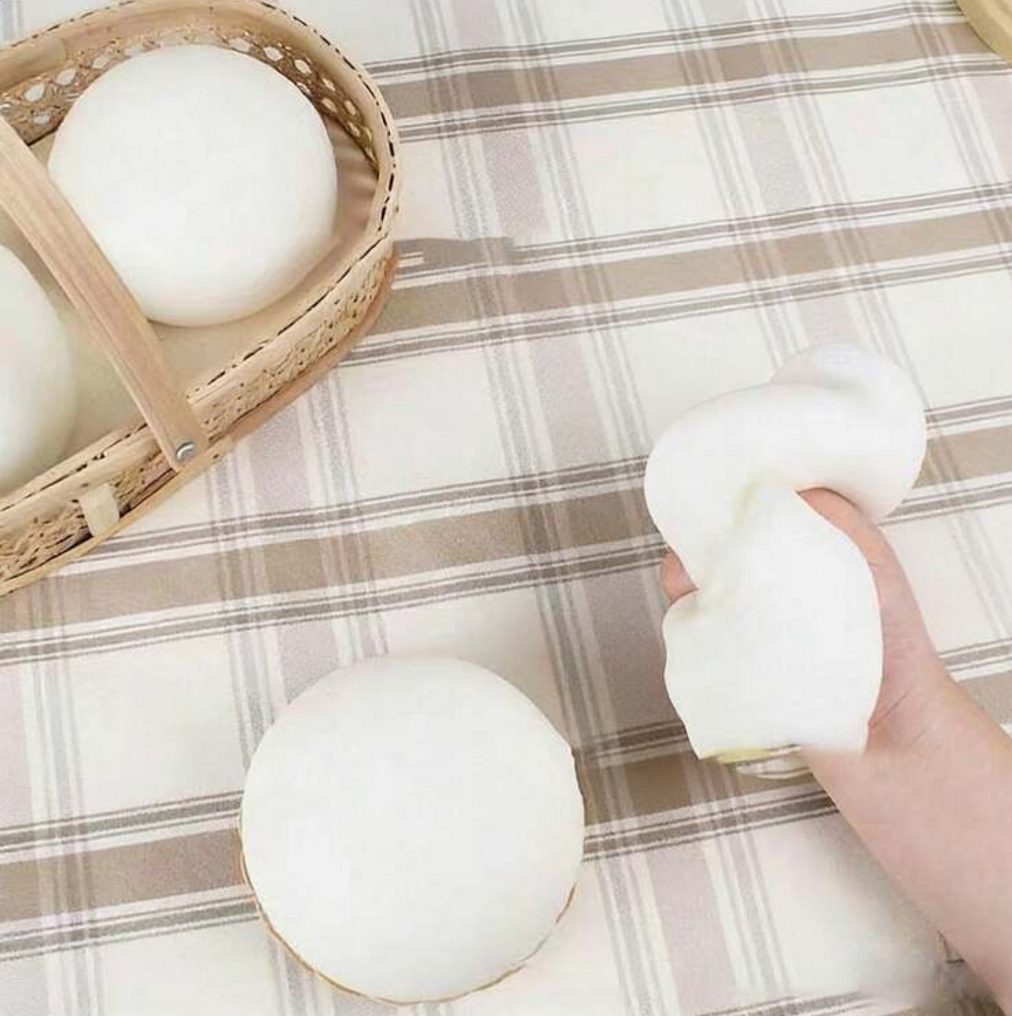 Japanese dumplings squishy