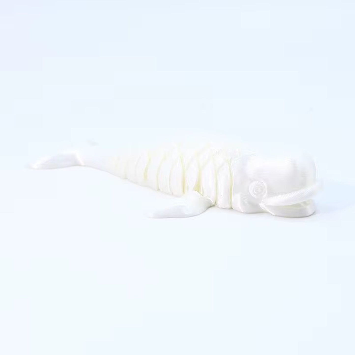 Beluga Whale 3d articulated animal